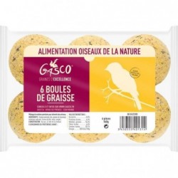 Boules de graisse oiseaux...