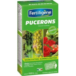 Traitement pucerons...