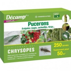 Traitement par chrysopes...