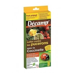 Traitement par coccinelle...