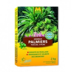 Engrais palmiers en...