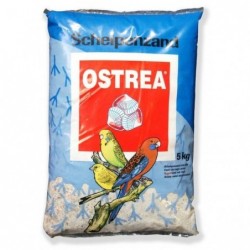 Gravier marin anisé oiseaux...