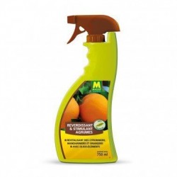 Reverdissant agrumes -prêt...