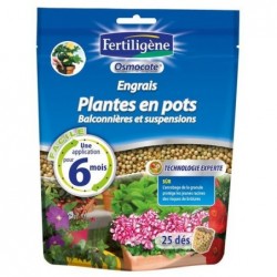 Engrais plantes en pots en...