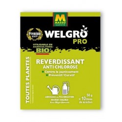 Welgro reverdissant...