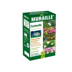 Traitement muraille siltac...