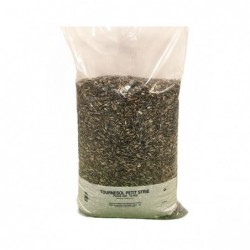 Tournesol petit strié...