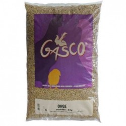 Orge 5 kg