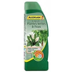 Engrais plantes vertes et...