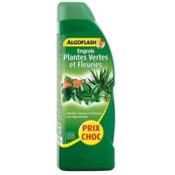 Engrais plantes vertes et...