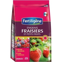 Engrais fraisiers en...
