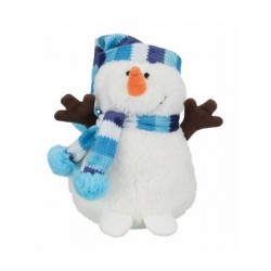 Bonhomme de neige avec...