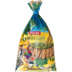 Millet jaune d'anjou en...