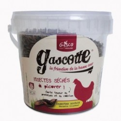 Insectes séchés à picorer...