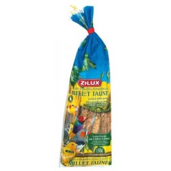 Millet grappe jaune anjou...