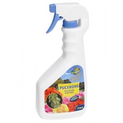 Insecticide Pucerons Prêt à...