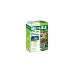Muraille protection contre...