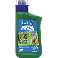 Solution Bordelaise...
