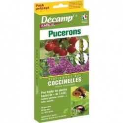 Traitement par coccinelles...