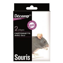 Pièges à souris avec glu x2...