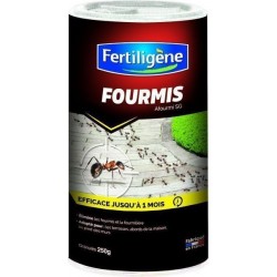 Traitement fourmis arrosage...