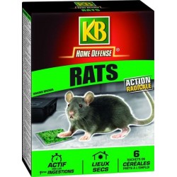 Traitements rats en...