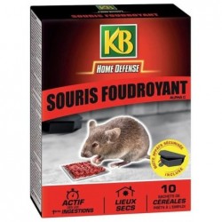 Traitement souris...