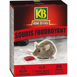 Traitement souris...