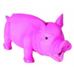 Cochon latex