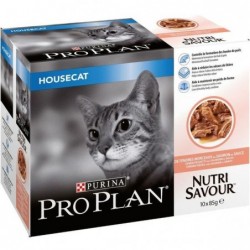 Pâté adulte 10 x 85 g -...