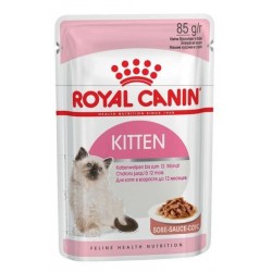 Sauce pour chaton single...