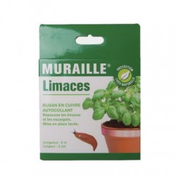 Muraille contre les limaces...