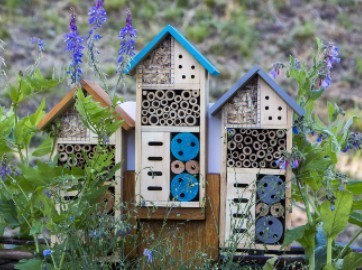 Biodiversité
