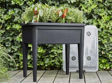 Carré potager